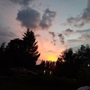 Meet your Posher, Penny